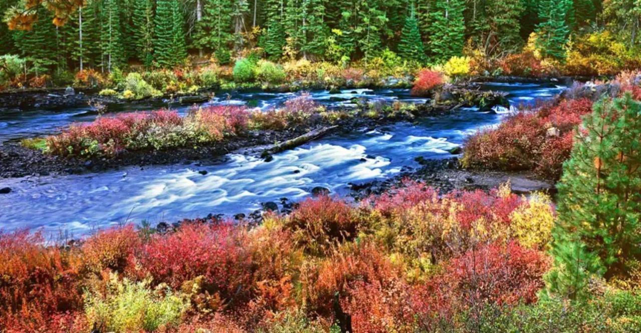 Seventh Mountain Resort Deschutes River Woods Extérieur photo